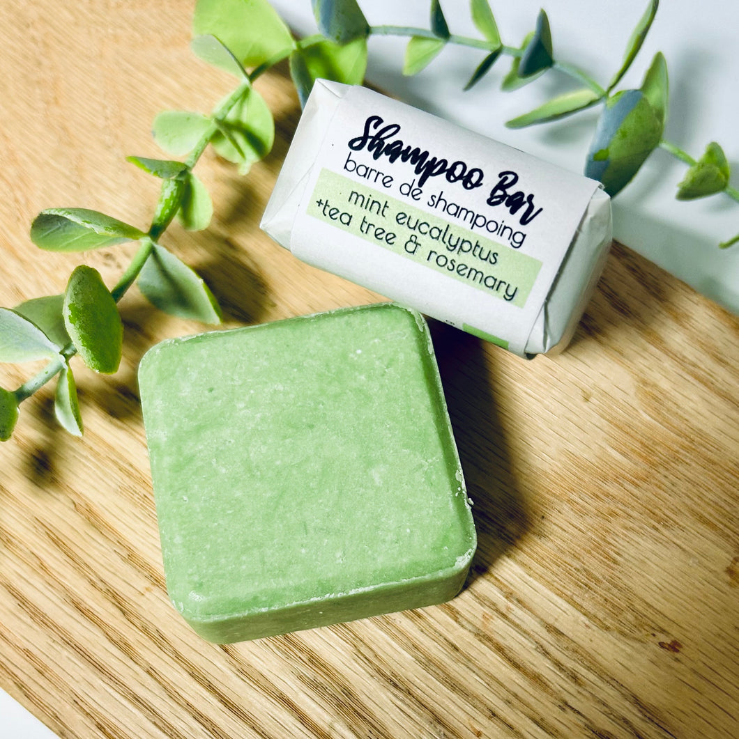 Mint Eucalyptus  +Tea Tree & Rosemary Shampoo Bar